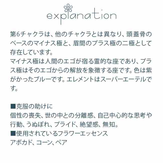 フラワーエッセンス スピリットインネイチャー セブンチャクラブレンド 第 6 チャ...