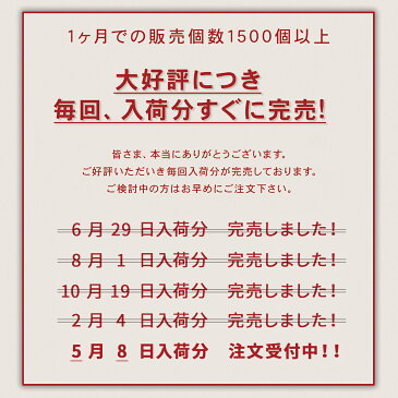 【スーパーSALE限定!!】楽天1位◆あす楽◆ 37L 大容量 ビジネスリュック 防水 18ポケット USBポート PC スペース リュック バックパック デイパック メンズ 通勤鞄 旅行 撥水 防犯 A4 ブランド / ビジネス 社会人 通勤 通学 誕生日 オススメ / BP1