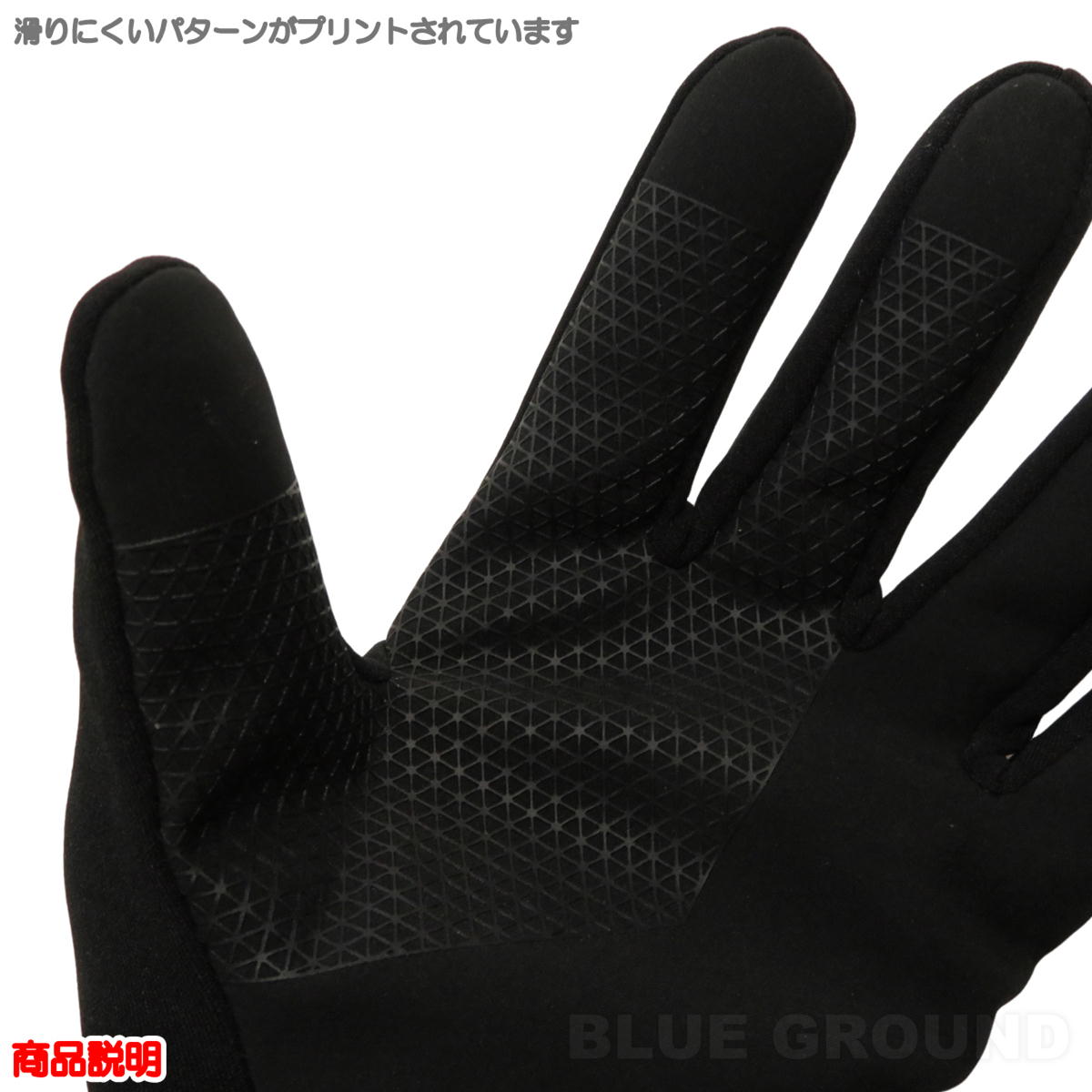 6月セール50%オフ ザ・ノース・フェイス / イーチップグローブ メンズ レディース ・ 手袋 アウトドア フリース ストレッチ ブランド アウトドア アウトドア ブランド おしゃれ THE NORTH FACE 送料無料 3