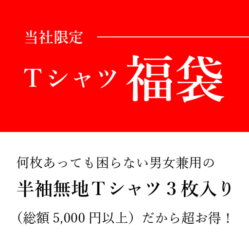 【Tシャツ福袋】半袖無地Tシャツ3枚(白or黒1枚+おまかせ2枚) 何枚あっても困らない 男女兼用