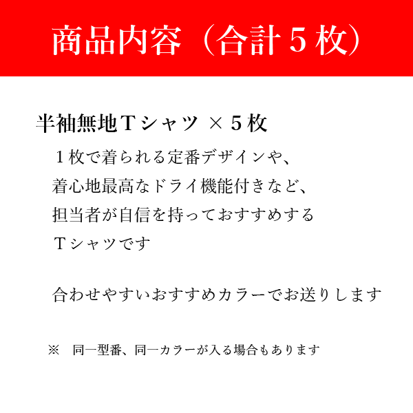 福袋【CHUMS】【melple】【good on】【ONEITA】【screenstars】【isefornia】などなど　　チャムス / メイプル/グッドオン/オニータ/スクリーンスターズ/ミリタリー/イセフォルニア/他ブランド/服袋/メンズ/ラッキーバッグ