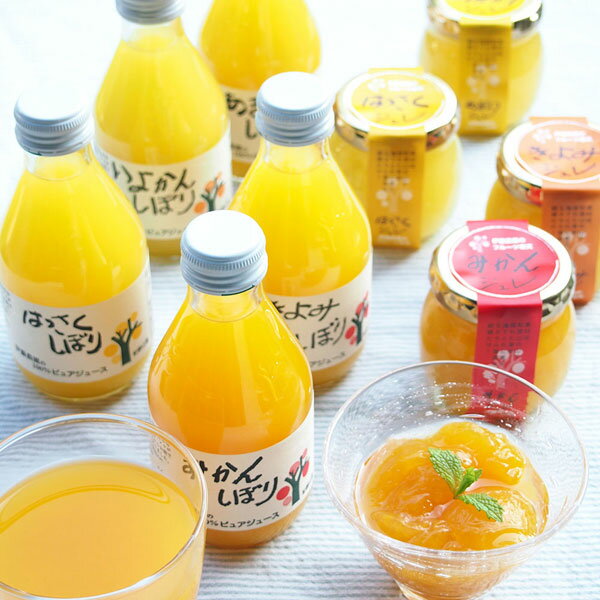和歌山 伊藤農園 柑橘ジュース＆寒天ジュレ 詰め合わせセット