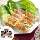 滋賀 近江牛 餃子 3箱セット (計45個)