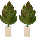 お手入れ不要のプリザーブド加工の榊と国産ヒノキの榊立て丹波産の椿葉をプリザーブド加工し、実用新案取得の製法で1つずつ手作り。水やり、お手入れ不要で、長持ちします。神社やお寺、神棚などに使われる高級建築材のヒノキの良い部分だけを使った贅沢な榊立てのセット。色 : 緑・茶 素材 : 椿葉・ヒノキ材 パッケージサイズ : 265×60×120mm パッケージ重量 : 220gお手入れ不要のプリザーブド加工の榊と国産ヒノキの榊立て丹波産の椿葉をプリザーブド加工し、実用新案取得の製法で1つずつ手作り。水やり、お手入れ不要で、長持ちします。神社やお寺、神棚などに使われる高級建築材のヒノキの良い部分だけを使った贅沢な榊立てのセット。色 : 緑・茶 素材 : 椿葉・ヒノキ材 パッケージサイズ : 265×60×120mm パッケージ重量 : 220g