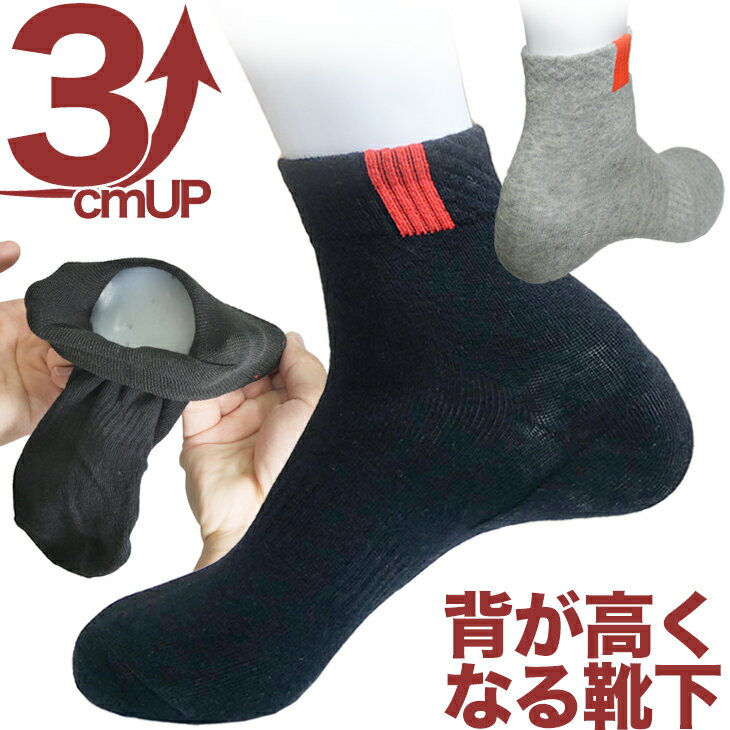 ؤ⤯ʤ뷤3cmĹå