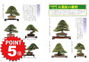 【ポイント5倍〜6/27まで】【書籍】盆栽 五葉松の育て方 本 ブック 近代出版【盆栽 ミニ盆栽 盆栽道具】