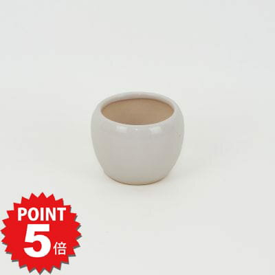 楽天市場】鉢 2号 陶器の通販