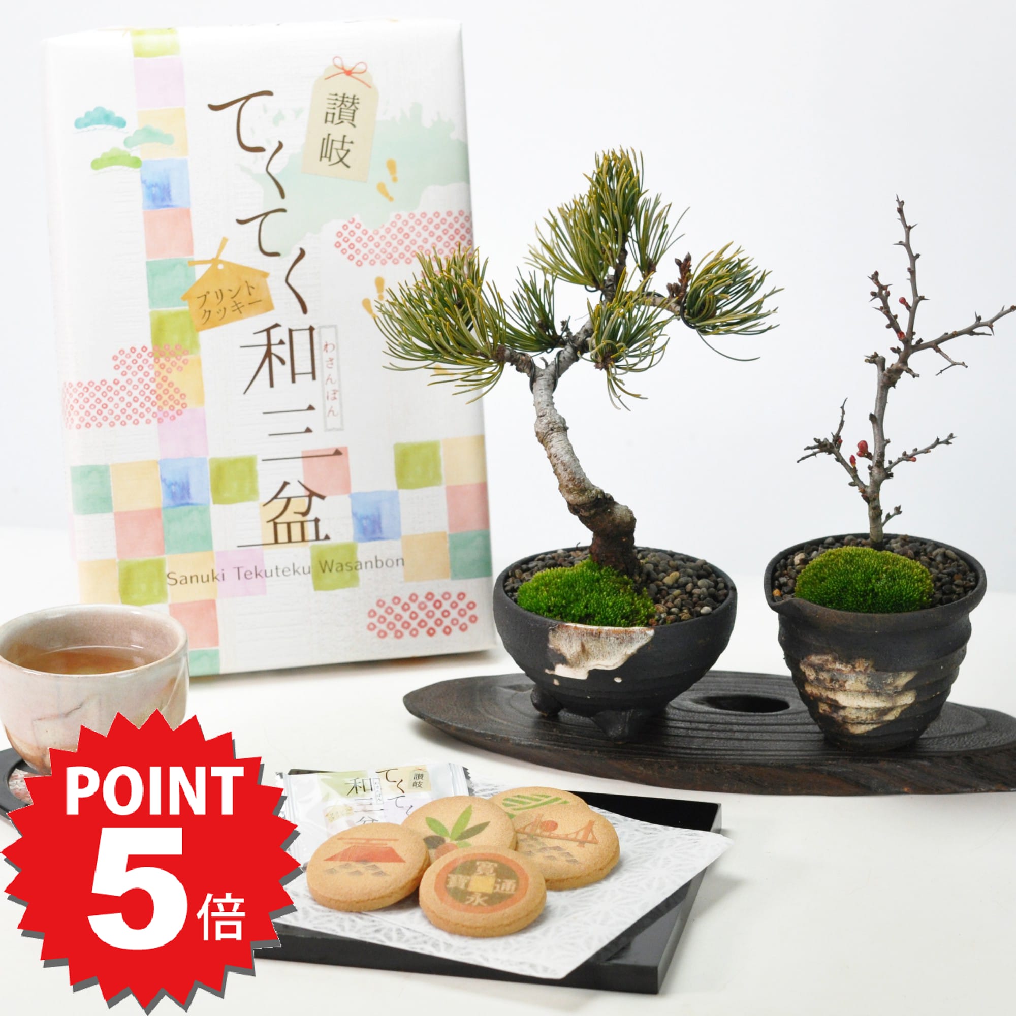楽天盆栽妙 楽天市場店P5倍〜7/11まで！盆栽 ミニ盆栽 和三盆クッキーと松と長寿梅のペアセット ギフト ギフト プレゼント 鉢植え スイーツ 焼き菓子 bonsai 父の日