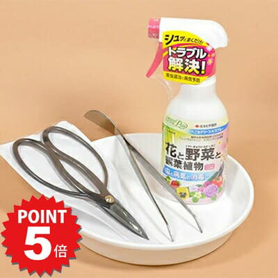 P5倍〜7/11まで！盆栽 道具セット 入