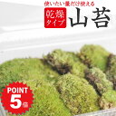 【ポイント5倍〜6/27まで】苔 ヤマゴケ 乾燥苔 山苔 パック 苔玉 苔テラリウム 苔盆栽 コケリウム 植物 ビオトープ 庭園