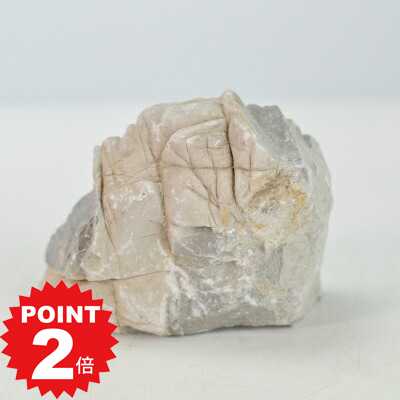 商品詳細 羅漢石(らかんせき) SPEC 重さ500〜600g 幅9〜12cm　奥行き7〜9cm　高さ4〜6cm 通常2営業日以内に発送致します。お急ぎの場合はご連絡下さい。土日祝日は発送お休みです。 色は白っぽく丸みのある形にシワのような切れ目が入っています。 羅漢石(らかんせき) 別名「仏の石」とも呼ばれる羅漢石です。白っぽく丸みのある形をしています。表面は筋が入っているような模様でテラリウムやアクアリウムでは清涼感がありグリーンにとても映えます。あたたかくやわらかな景観作りに適しています。 数量ものの商品です。重さ500〜600g 幅9〜12cm　奥行き7〜9cm　高さ4〜6cm 天然の原石を加工しているため個体差があります。形、色等ご指定いただくことができません。納品後に天然石の模様や色などでご返品は出来ませんので了承くださいませ。 この商品はギフト対応できません。ご依頼頂きましても通常包装での発送となります。 北海道・沖縄は現在配達できません。当該地域へのご注文はキャンセルさせて頂きますのでご了承ください。
