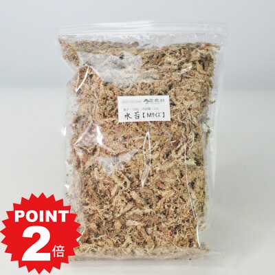 商品詳細 水苔 100g SPEC 内容量:約100g 通常2営業日以内に発送致します。お急ぎの場合はご連絡下さい。土日祝日は発送お休みです。 水苔(ミズゴケ) 表土の乾きを防ぐ水ごけです。 保水性に優れた水苔は主にランの栽培に用いられていますが、盆栽においても表土の乾燥防止のために使うことができます。乾燥水苔を小分けパックにしています。 【使い方】 パックから乾燥した苔をとりだして水に浸します。1時間ほど浸すと十分水が含まれますので、盆栽鉢と木の根元に巻きつけるように敷き詰めます。 一晩水に浸すとより効果的です。 その後はいつもどおり水やりをして管理します。 この商品はギフト対応できません。ご依頼頂きましても通常包装での発送となります。 北海道・沖縄は現在配達できません。当該地域へのご注文はキャンセルさせて頂きますのでご了承ください。