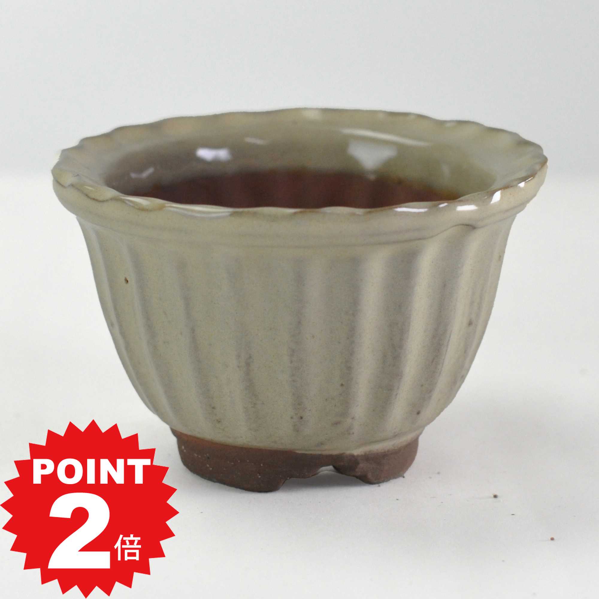 楽天市場】盆栽鉢 2号の通販