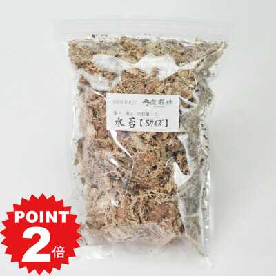 商品詳細 水苔 40g SPEC 内容量:約40g 通常2営業日以内に発送致します。お急ぎの場合はご連絡下さい。土日祝日は発送お休みです。 水苔(ミズゴケ) 表土の乾きを防ぐ水ごけです。 乾燥した水ごけをパックにしています。 【使い方】 パックから乾燥した苔をとりだして水に浸します。1時間ほど浸すと十分水が含まれますので、盆栽鉢と木の根元に巻きつけるように敷き詰めます。 一晩水に浸すとより効果的です。 その後はいつもどおり水やりをして管理します。 この商品はギフト対応できません。ご依頼頂きましても通常包装での発送となります。 北海道・沖縄は現在配達できません。当該地域へのご注文はキャンセルさせて頂きますのでご了承ください。乾燥水ごけ　盆栽の保湿 乾燥防止に 表土の乾きを防ぐ水ごけです。 表土の乾きを防ぐ水ごけです。 乾燥した水ごけをパックにしています。 【使い方】 パックから乾燥した苔をとりだして水に浸します。1時間ほど浸すと十分水が含まれますので、盆栽鉢と木の根元に巻きつけるように敷き詰めます。 一晩水に浸すとより効果的です。 その後はいつもどおり水やりをして管理します。 内容量:40g