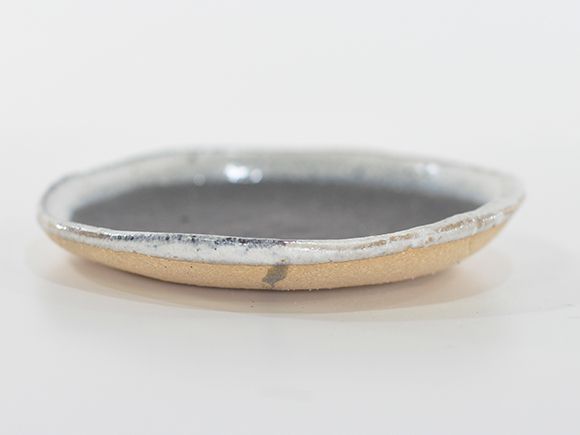 苔玉の丸皿いっぷく12cm