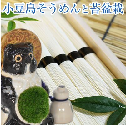 納涼ギフト そうめんと苔盆栽のセット 面白い プレゼント サプライズ...