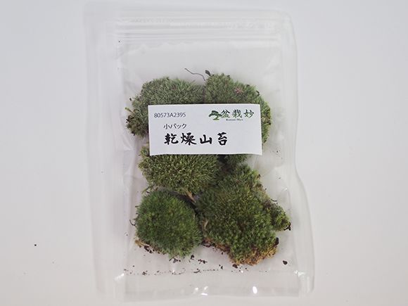 苔 乾燥苔 山苔 パック 苔玉 苔テラ