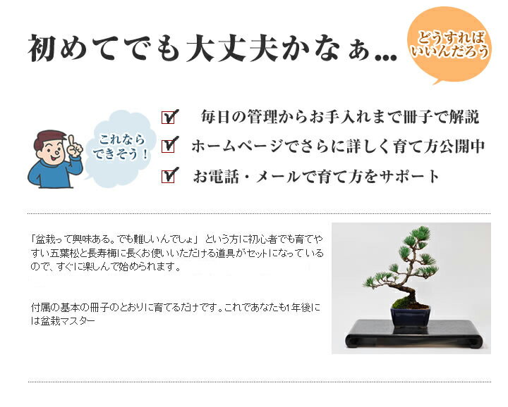 盆栽 道具 セット 選べる 長寿梅 五葉松 桜 初心者セット ミニ盆栽 キット 入門 はさみ 盆栽鋏 ピンセット 薬剤 ベニカ トレー お助け 道具セット ミニ盆栽 入門 初心者 これから 始める ギフト盆栽 退職 ラッピング 母の日 父の日 誕生日 桜特集