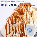 【送料無料】【北海道】【行列ができる人気店】ジェラート 専門店 アイス ギフト 詰め合わせ 贈り物 ジェラテリアGigi【お徳用 2,000ml キャラメルラッ...