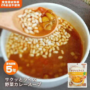 非常食 サクッとライス 野菜カレースープ 1人前 190g 玄米 食物アレルギー対応 アルファー食品 国産米 特定原材料等28品目不使用[M便 1/2]