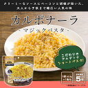防災グッズ 防災用品 保存食 備蓄食 主食 5年保存 スパゲッティ 洋風