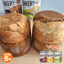 新食缶ベーカリー パンの缶詰 5年保存 非常食 黒糖 オレンジ メロン 新食缶BAKERY 新食感 缶詰パン パン缶 1