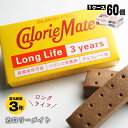 携帯食 保存食 大塚製薬 カロリーメイトロングライフ 2本入×60個セットケース販売