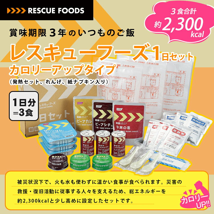 非常食 ホリカフーズ レスキューフーズ 1日セット カロリーアップ 3年保存 防災セット (2)