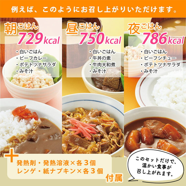 非常食 ホリカフーズ レスキューフーズ 1日セット カロリーアップ 3年保存 防災セット (3)