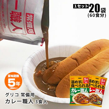 レトルトカレー 5年保存 江崎グリコ 常備用カレー職人 60食セット 甘口／中辛 常温でおいしい 3食パック×20個（10個入×2ケース）【中辛：賞味期限2028年8月迄】