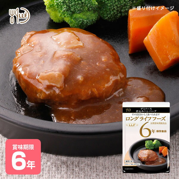 おいしい非常食 LLF食品 デミソース煮込みハンバーグ 100g 6年保存 ロングライフフーズ 肉 美味しい