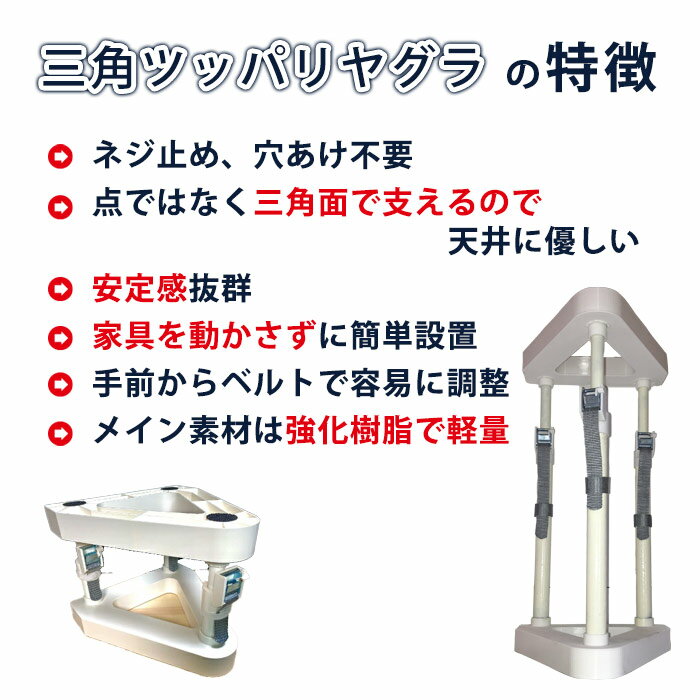 �ȶ� ž���ɻ� �ͤ�ĥ���� ���ѥĥåѥ�䥰�� LR-064P (235��310mm) �ѿ� �Ͽ� �к�