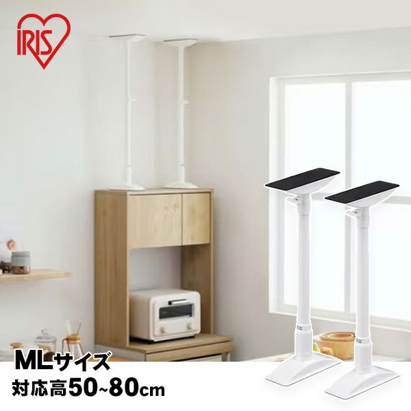 ȶžɻ߿ ML KTB-50R ۥ磻 5080cmб 21å ͤĥ ꥹ
