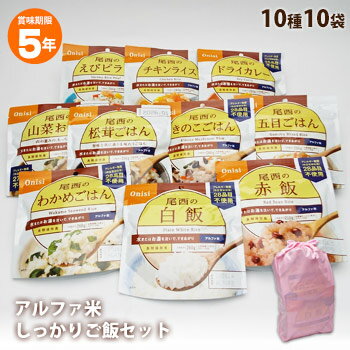非常食 ご飯 5年保存 尾西食品のアルファ米10種 しっかりご飯セット（おかゆなしセット アルファー米 ごはん 保存食）