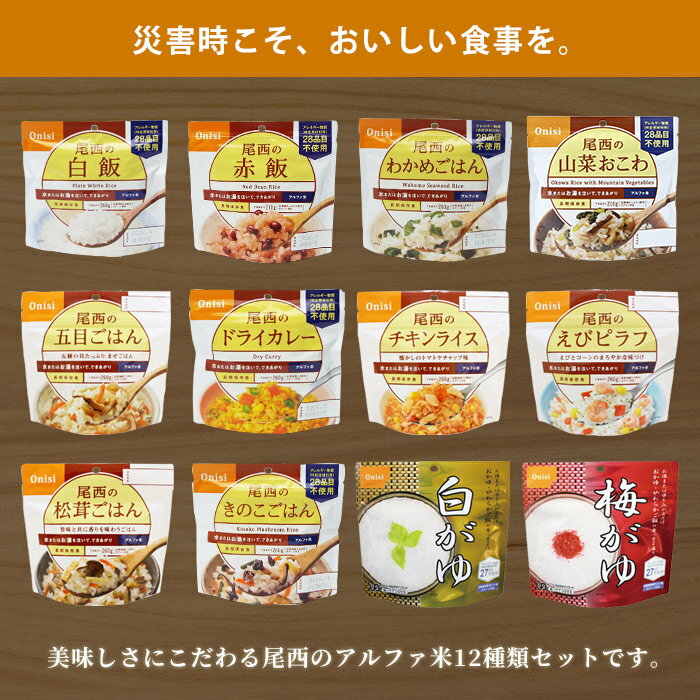 非常食セット ご飯 5年保存 尾西食品のアルファ米12種コンプリートBOX 防災セット ご飯