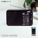 携帯 ラジオ ミニホームラジオ R17-418 ブラック AM/FM その1