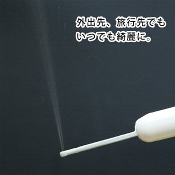 ドリテック おしり洗浄器 ハンディシャワー PW-100