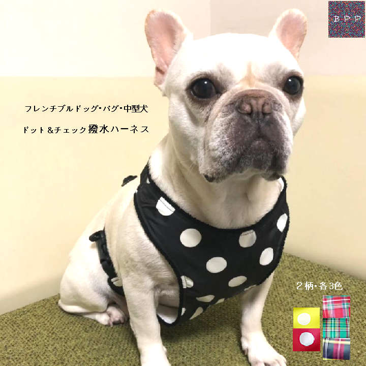 achu☆フレンチブルドッグ パグ 中型犬 ドット＆チェック 撥水ハーネス