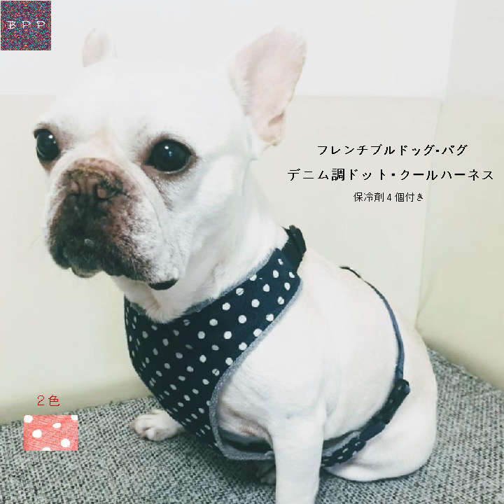 BPP☆フレンチブルドッグ・パグ・中型犬　デニム調ドット・クールハーネス