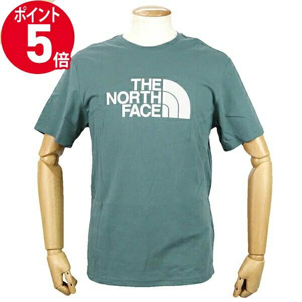 《ポイント5倍_16日01:59迄》ノースフェイス Tシャツ THE NORTH FACE メンズ ショートスリーブ GTDロゴ S/M/L グリーン系 NF0A2TX3 A9L | ブランド