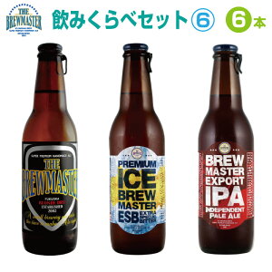 ★クラフトビール 飲み比べ6本セット6★　330ml　ボトルビール　ブルーマスター飲みくらべギフト 3種　九州　福岡