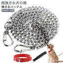 犬用チェーン 犬の鎖 ハンドル 首輪 犬用 リード 金属製 丈夫な犬用リード 多機能 犬用リード おしゃれ 小型犬 中型犬用 犬 犬用 チェーン 犬用チェーンリード トレーニング用 長さ2m~5m 粗さ2mm 軽量 耐久性(4)