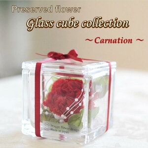 母の日 プリザーブドフラワー 【全3色・蓋つき1セット】 ガラスキューブ カーネーション アレンジ 完成品 ギフト 母の日 女友達 ガラス 贈り物 結婚 誕生日プレゼント 人気 記念日 還暦 古希 喜寿 米寿 赤 紫 黄色 女性 母親 仏花 お供え お悔やみ 犬 猫 ペット 仏壇