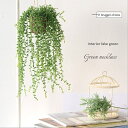 フェイクグリーン 再販! グリーンネックレス 壁掛け ハンギング 光触媒でニオイを分解!観葉植物 インテリア グリーン グリーン リーフ造花 光触媒 造花 観葉植物造花 新築祝い 結婚祝い 開店祝い 移転祝い 開院祝い お洒落 人気 北欧 シンプ 受付 トイレ