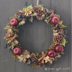 https://thumbnail.image.rakuten.co.jp/@0_gold/brugge-flower/detail/wreath/autum-apple-wreath-kit/brugge-flower_kw022.jpg