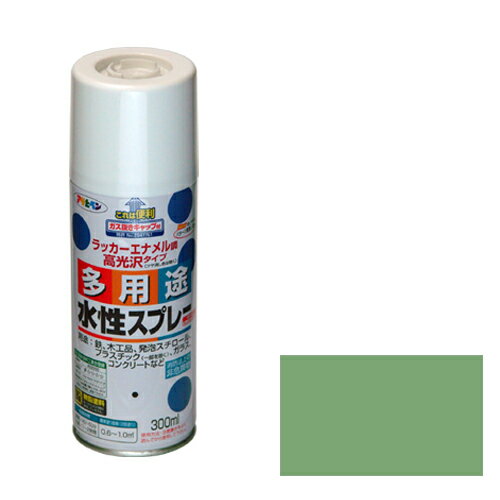 ڤб̵ۥҥڥ¿ӥץ졼300ML⥹꡼
