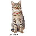 【メール便対応可】日本生産の本革猫首輪　アドメイト レザースタイル　キャット　カラー 首輪 SS サイズ　全4種【犬/首輪/革/】