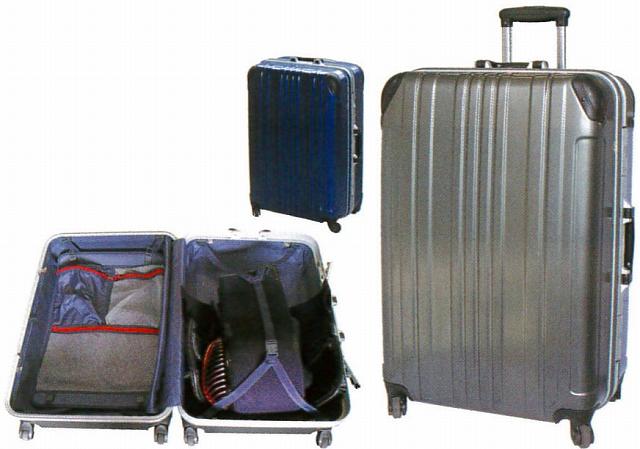 【期間限定★エントリーで全品ポイント5倍】剣道 防具袋 送料無料 ポリカーボネート剣道ケース 武道園