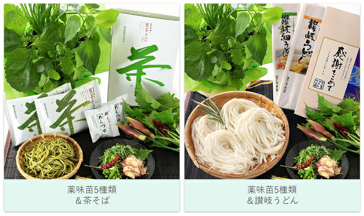 父の日 プレゼント ギフト 送料無料 おつまみ セット 育てて楽しむ 植物 苗 鉢植え 野菜 薬味 花 茶そば 讃岐うどん 楽天総合1位 メッセージカード付き イベントギフトD 2024 2