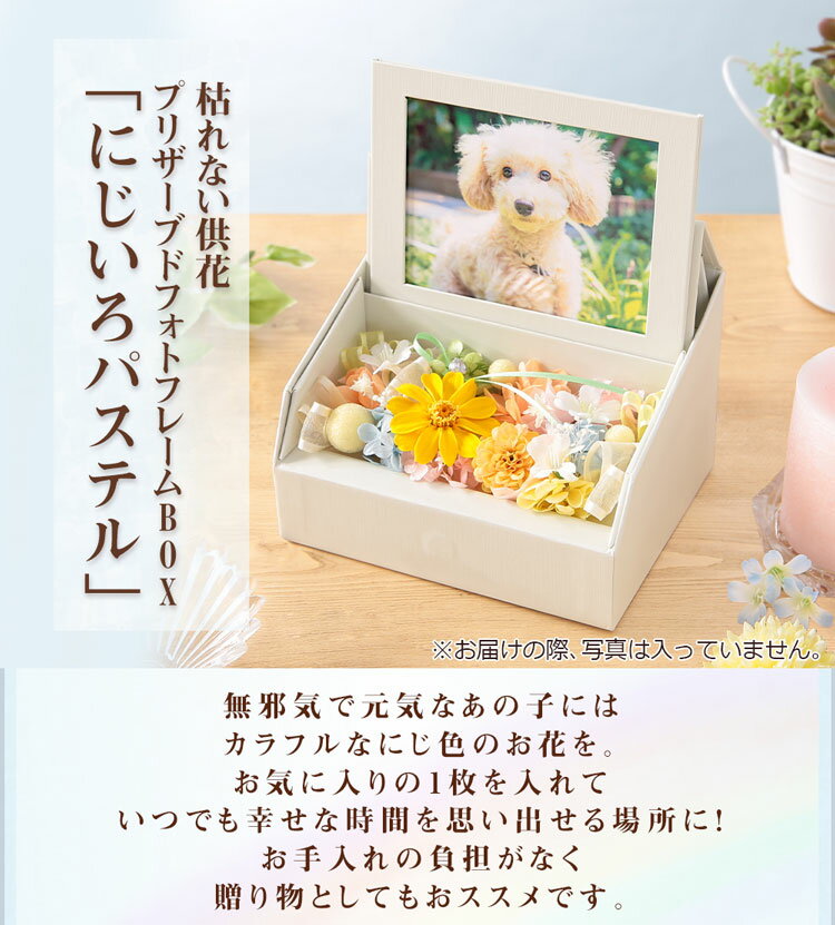 あす楽 14時まで お供え 花 ペット 供養 お悔やみ 枯れない供花 プリザーブドフォトフレームBOX 送料無料 プリザーブド アレンジ お盆 命日 誕生日 ギフト プレゼント フラワー 供花 仏花 お彼岸 四十九日 虹の橋 洋風 和風 供花 喪中 お見舞い お悔み